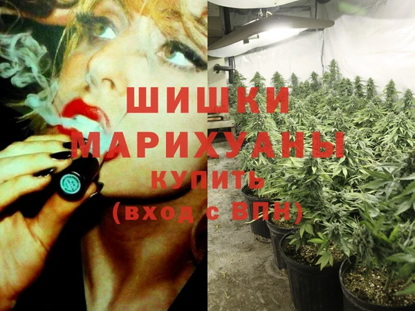 молекула духа Арсеньев