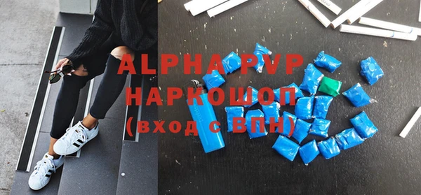 молекула духа Арсеньев