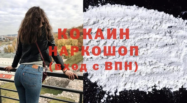 молекула духа Арсеньев