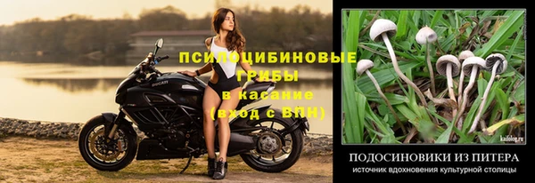 прущая мука Армянск