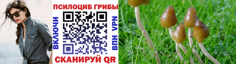 Псилоцибиновые грибы ЛСД  Верхняя Салда 